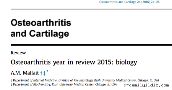 osteoartrit-2015-biyolojoji